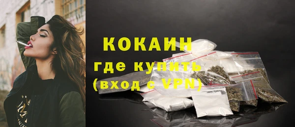 ГАЛЛЮЦИНОГЕННЫЕ ГРИБЫ Арсеньев