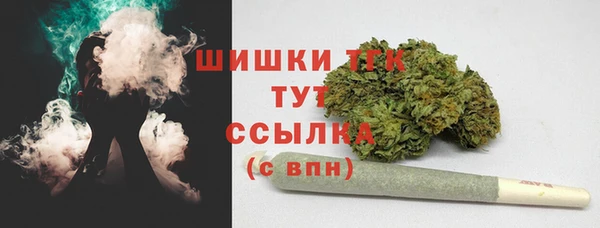 ГАЛЛЮЦИНОГЕННЫЕ ГРИБЫ Арсеньев