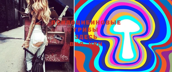 спайс Аркадак